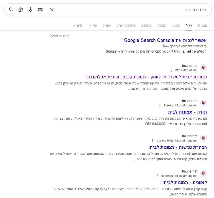 בדיקה-לפי-הפקודה-site-וכתובת-הדומיין